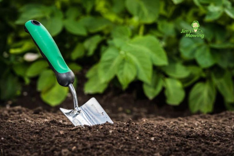5 Tips Every Good Gardener Needs To Know