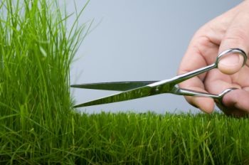 Are You Trimming the Grass Too Short?