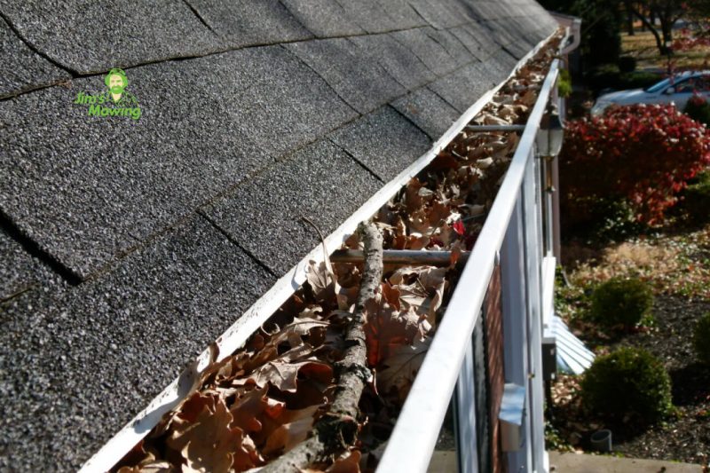 Why Use Professional Gutter Cleaning Services?