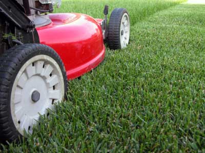 6 Considerations in Choosing the Right Turf for Your Home