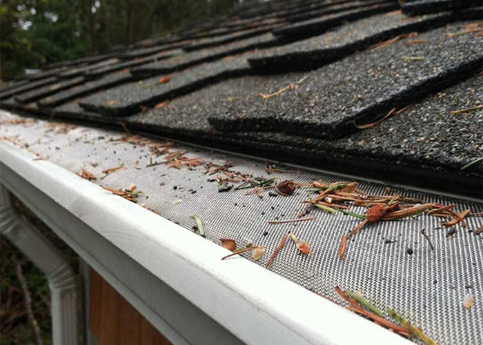 What Are Gutter Guards?