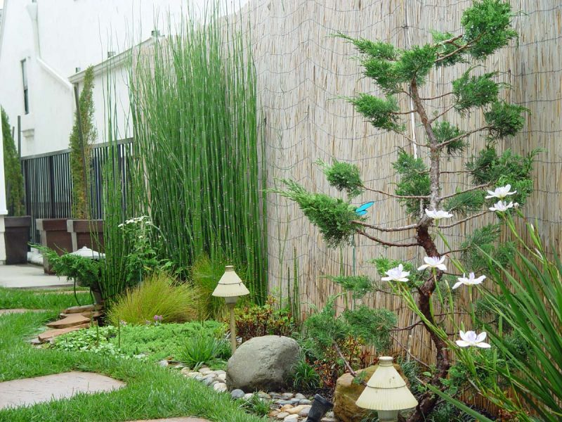 6 Ideas For Landscaping On A Budget, Landscaping Plants For Front Of House Philippines