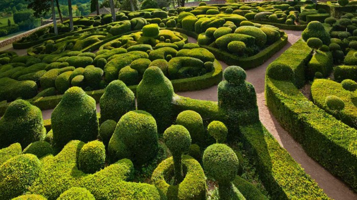 Enhance Your Garden With The Right Hedge Design