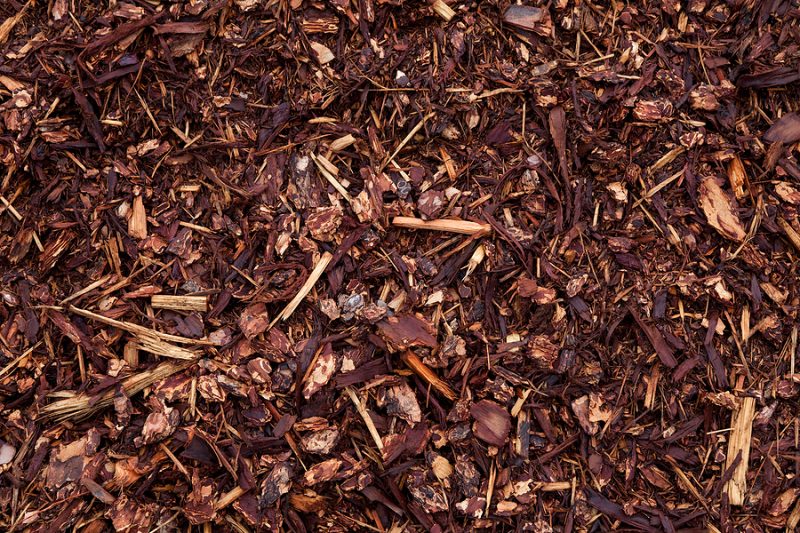 Best Mulch For Your Garden Jimsmowing Com Au