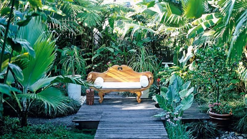 Spectacular Tropical Gardening Designs, Tropical Garden Designs Queensland