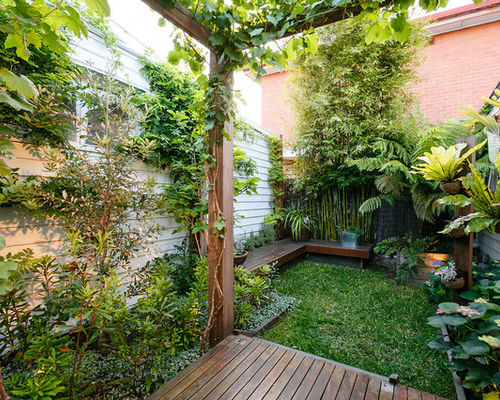 5 Secrets To Creating Spectacular Tropical Gardening ...