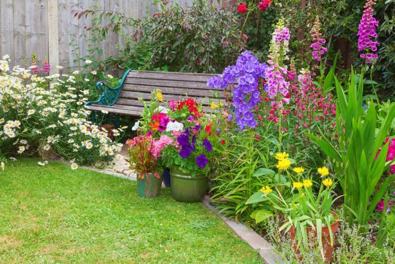 Spring garden in bloom with cottage flower selection