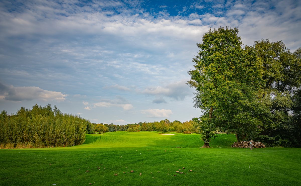 Green Golf Course Grass