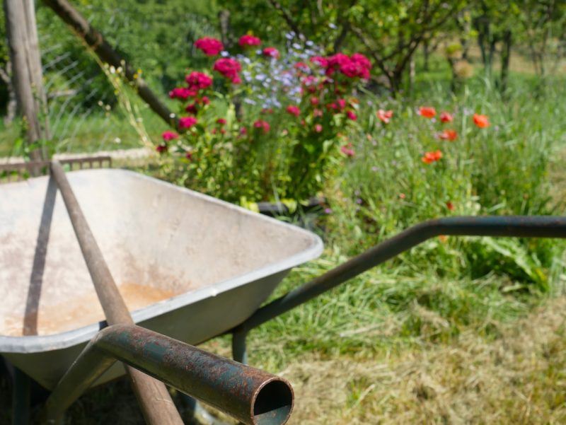 garden maintenance