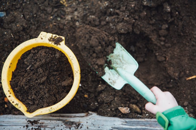 A Beginner’s Guide to Composting