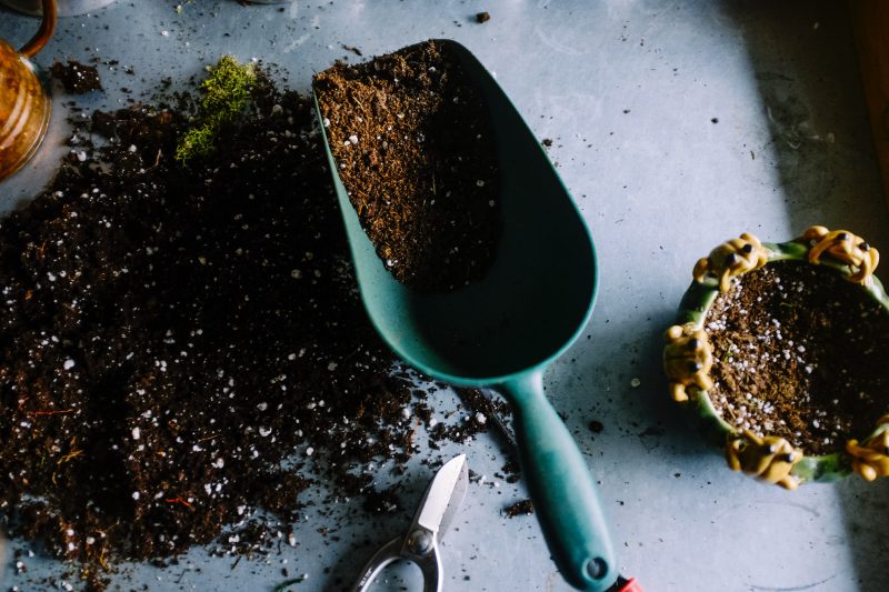 Can I Compost This? Guide to Compost Do’s and Dont’s